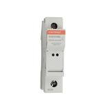 Base 10x38 1P 1000VDC