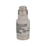FUSIBLES D02 20A GL-GG