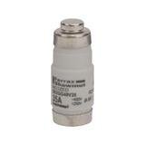 FUSIBLES D02 35A GL-GG
