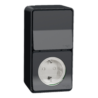 Schneider Mureva Styl - Enchufe 2P+T + Conmutador - Superficie - IP55 - Gris MUR36024