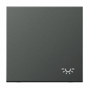 Jung Tecla c/ simb. luz LS antracita