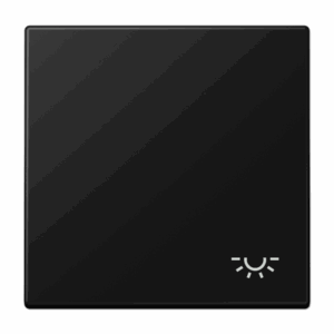 Jung Tecla c/simb. luz LS negro mate