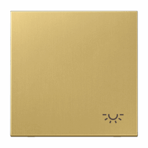 Jung Tecla c/simb. luz LS latón classic