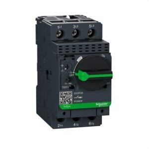 Schneider GV2P20 Disyuntor motor regulación 13-18A