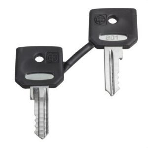 Schneider ZBG421E Juego llaves 421E (2u)